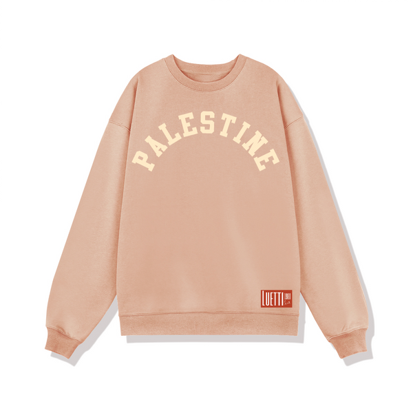 Palestine Collegiate Font Oversized Sweatshirt