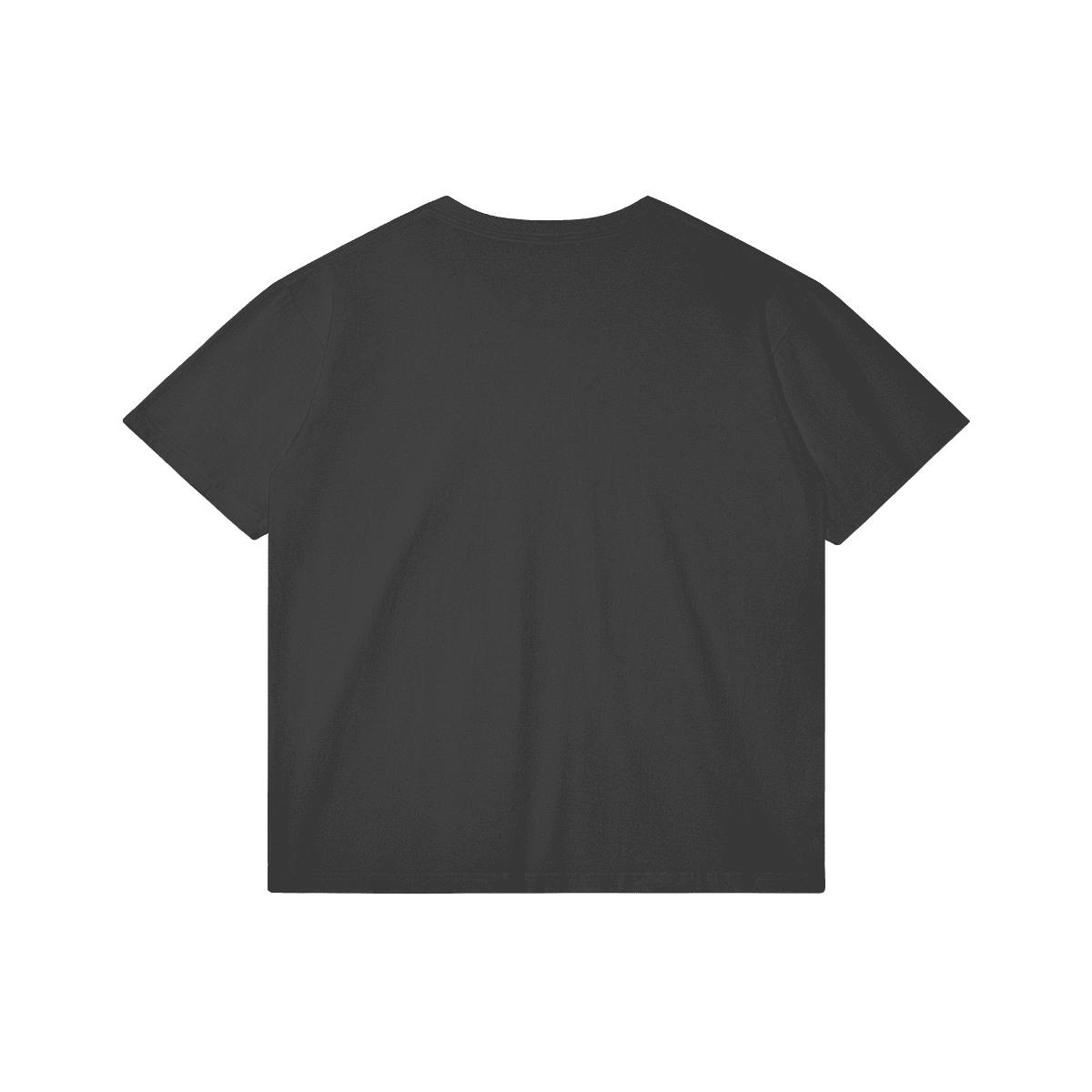 "FALASTIN" Adults Regular Fit T-shirt